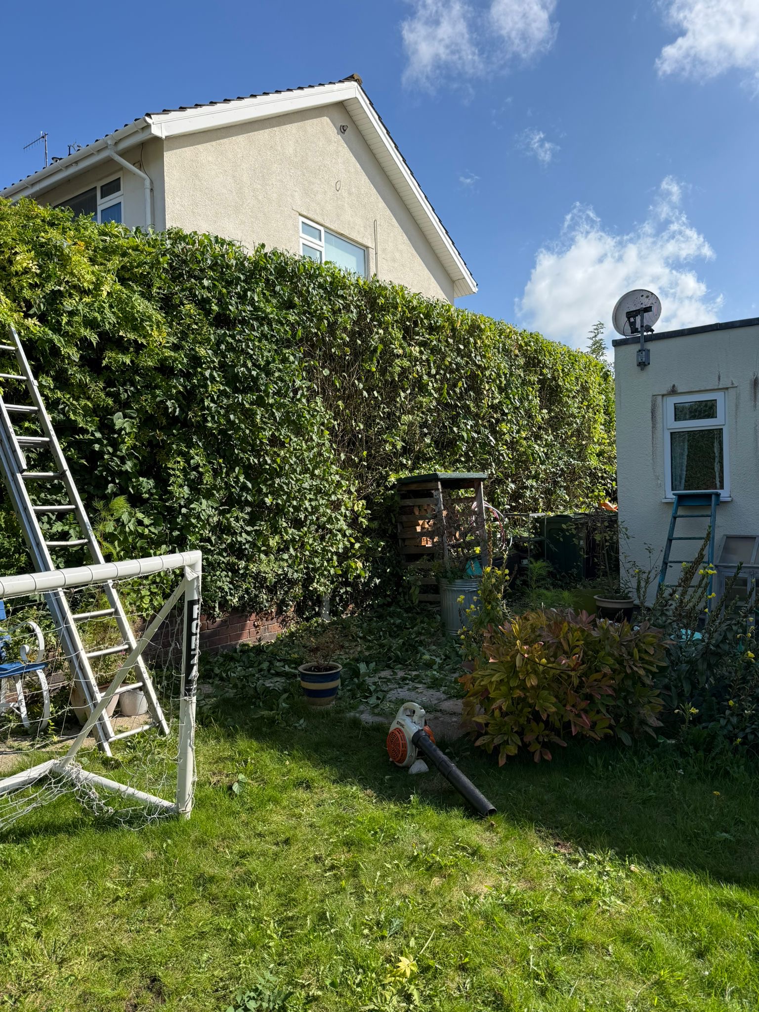 Alpines tree surgery project photo